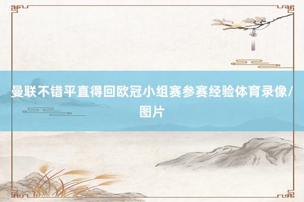 曼联不错平直得回欧冠小组赛参赛经验体育录像/图片