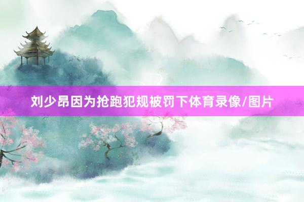 刘少昂因为抢跑犯规被罚下体育录像/图片