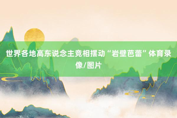 世界各地高东说念主竞相摆动“岩壁芭蕾”体育录像/图片