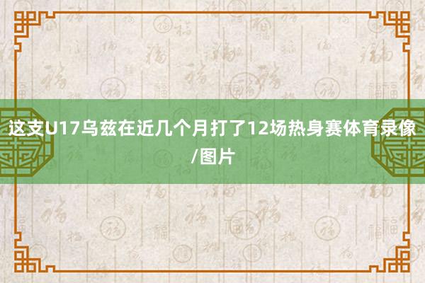 这支U17乌兹在近几个月打了12场热身赛体育录像/图片