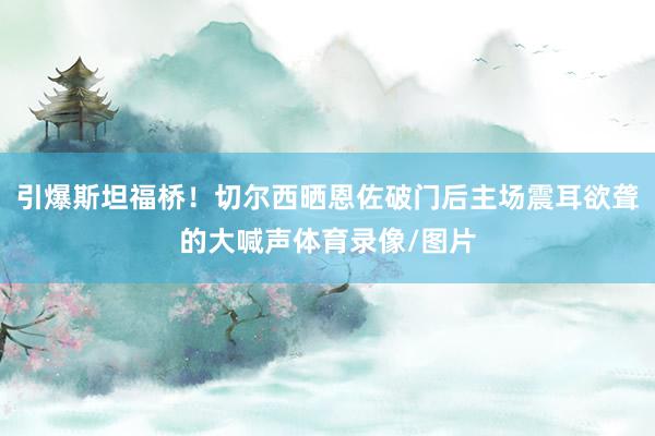 引爆斯坦福桥！切尔西晒恩佐破门后主场震耳欲聋的大喊声体育录像/图片