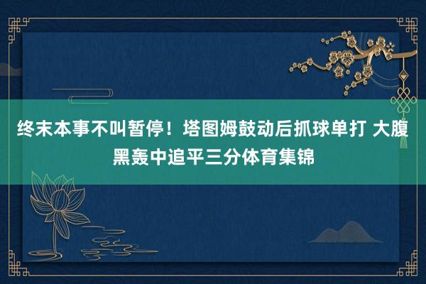 终末本事不叫暂停！塔图姆鼓动后抓球单打 大腹黑轰中追平三分体育集锦