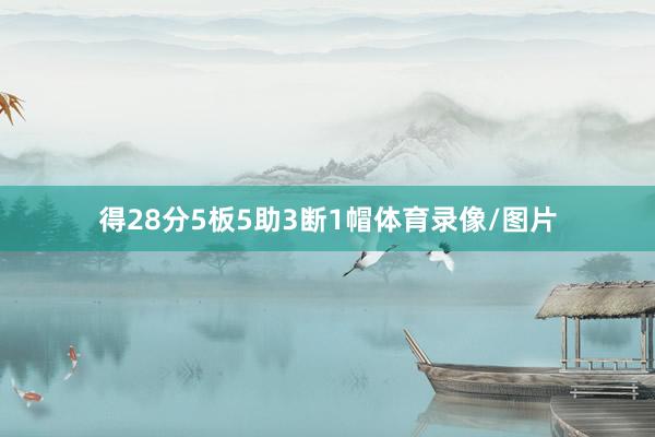 得28分5板5助3断1帽体育录像/图片