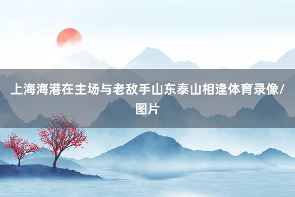 上海海港在主场与老敌手山东泰山相逢体育录像/图片