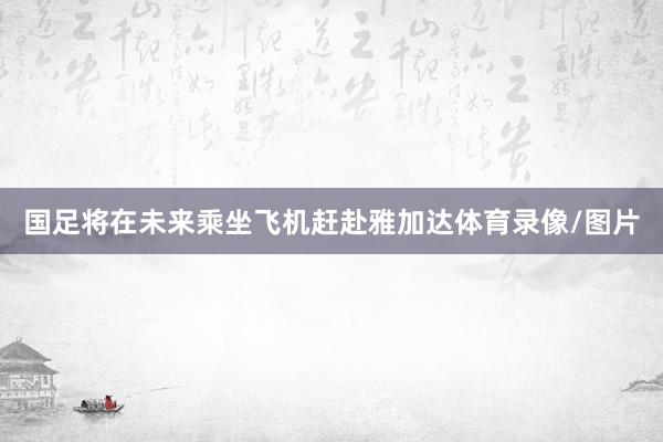 国足将在未来乘坐飞机赶赴雅加达体育录像/图片