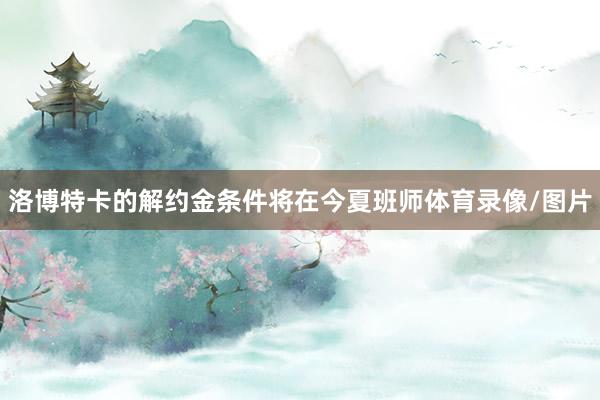 洛博特卡的解约金条件将在今夏班师体育录像/图片