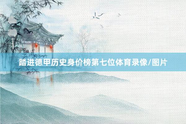 踏进德甲历史身价榜第七位体育录像/图片