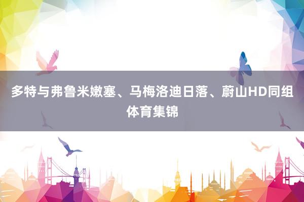 多特与弗鲁米嫩塞、马梅洛迪日落、蔚山HD同组体育集锦