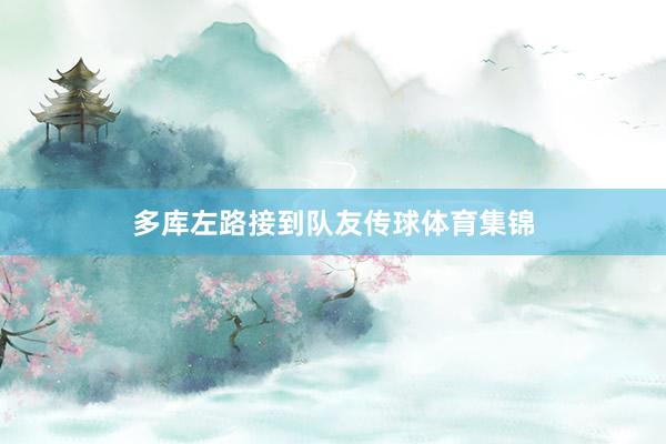 多库左路接到队友传球体育集锦