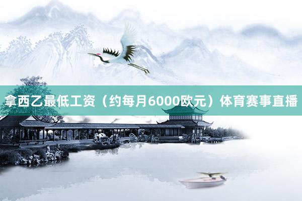 拿西乙最低工资(约每月6000欧元)体育赛事直播