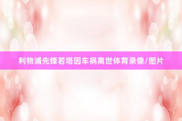 利物浦先锋若塔因车祸离世体育录像/图片