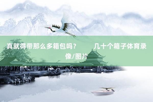 真就得带那么多箱包吗？        几十个箱子体育录像/图片
