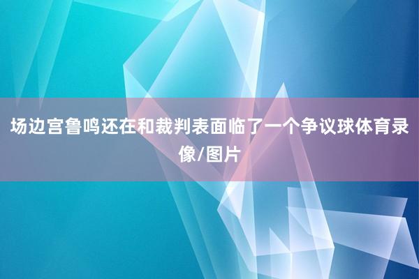场边宫鲁鸣还在和裁判表面临了一个争议球体育录像/图片