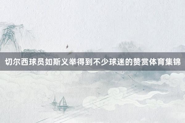 切尔西球员如斯义举得到不少球迷的赞赏体育集锦