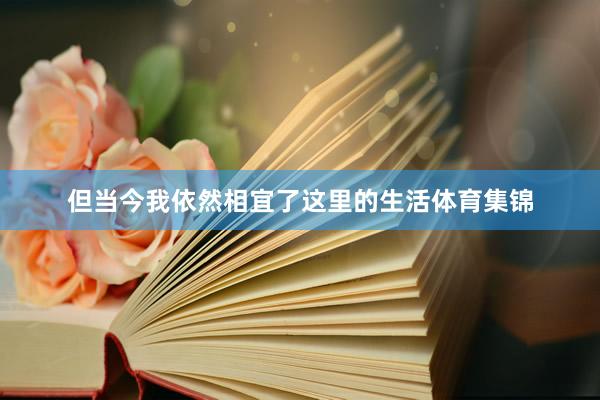 但当今我依然相宜了这里的生活体育集锦