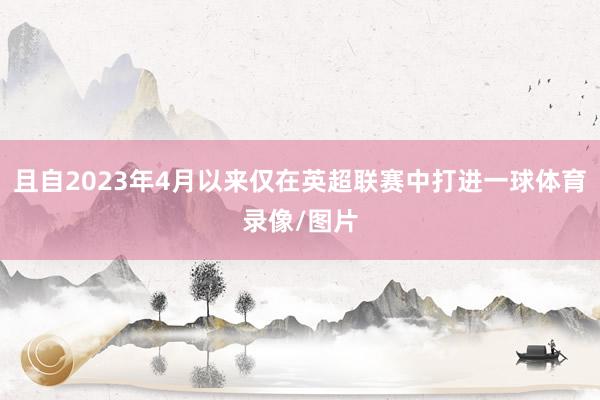 且自2023年4月以来仅在英超联赛中打进一球体育录像/图片
