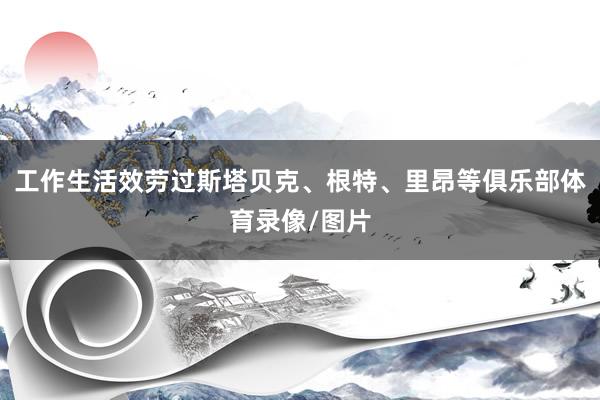 工作生活效劳过斯塔贝克、根特、里昂等俱乐部体育录像/图片