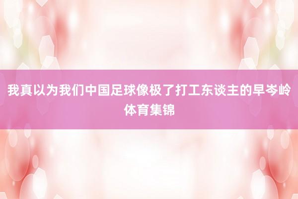 我真以为我们中国足球像极了打工东谈主的早岑岭体育集锦