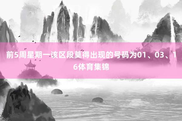 前5周星期一该区段莫得出现的号码为01、03、16体育集锦