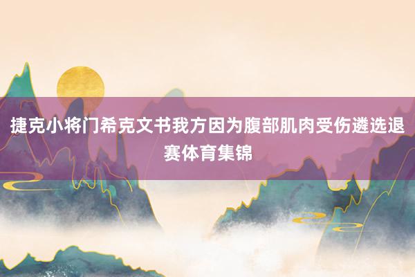 捷克小将门希克文书我方因为腹部肌肉受伤遴选退赛体育集锦
