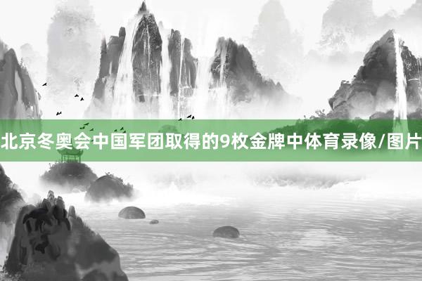 北京冬奥会中国军团取得的9枚金牌中体育录像/图片