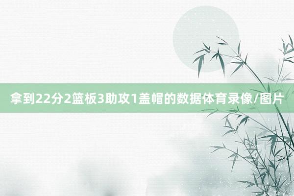 拿到22分2篮板3助攻1盖帽的数据体育录像/图片