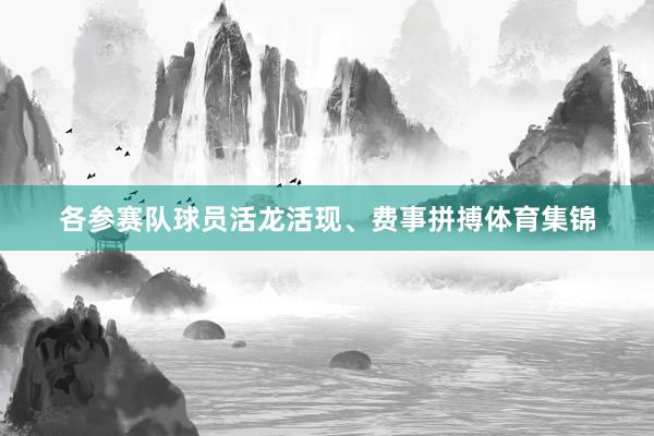 各参赛队球员活龙活现、费事拼搏体育集锦