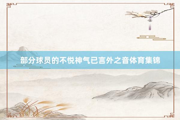 部分球员的不悦神气已言外之音体育集锦