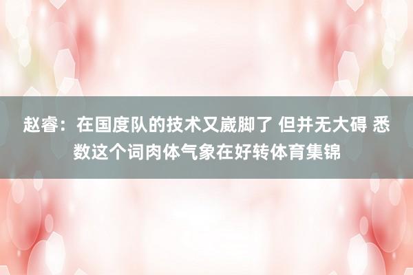 赵睿：在国度队的技术又崴脚了 但并无大碍 悉数这个词肉体气象在好转体育集锦