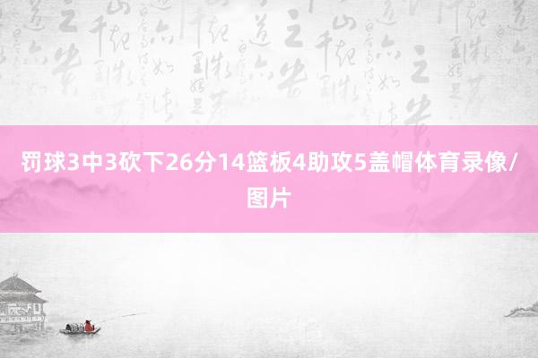 罚球3中3砍下26分14篮板4助攻5盖帽体育录像/图片