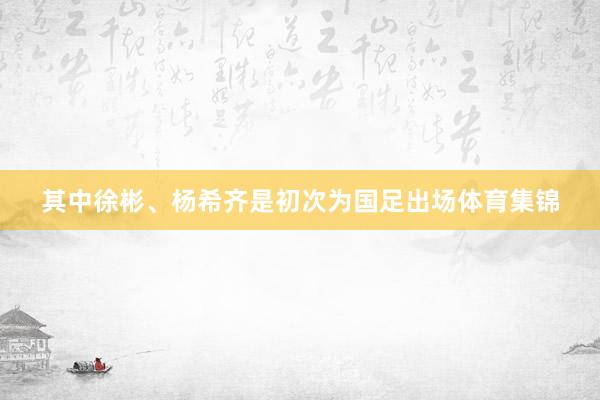 其中徐彬、杨希齐是初次为国足出场体育集锦