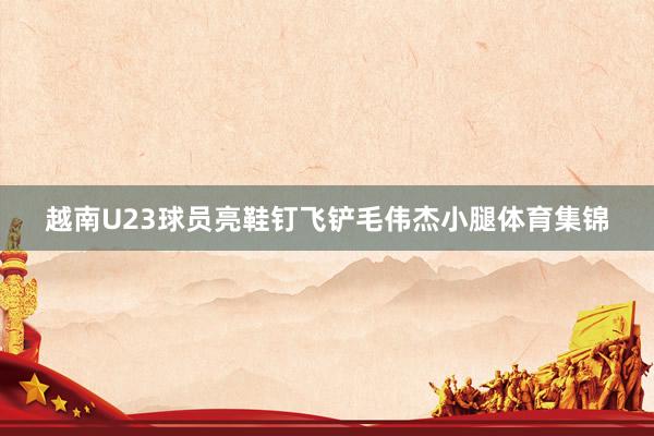 越南U23球员亮鞋钉飞铲毛伟杰小腿体育集锦