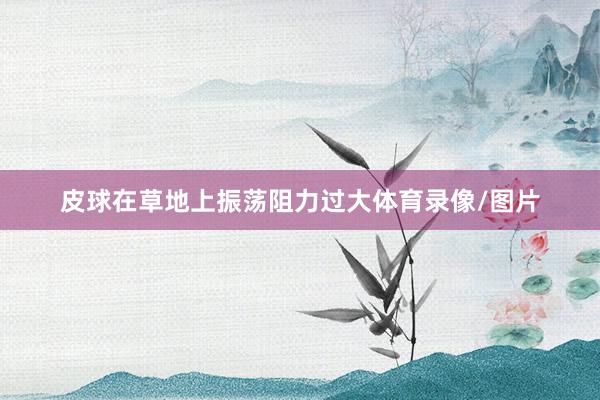 皮球在草地上振荡阻力过大体育录像/图片