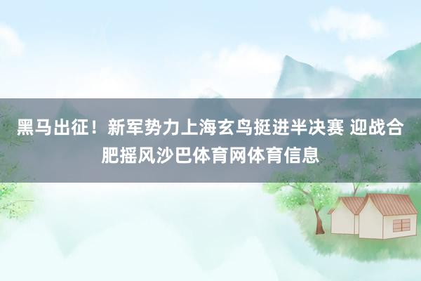 黑马出征！新军势力上海玄鸟挺进半决赛 迎战合肥摇风沙巴体育网体育信息