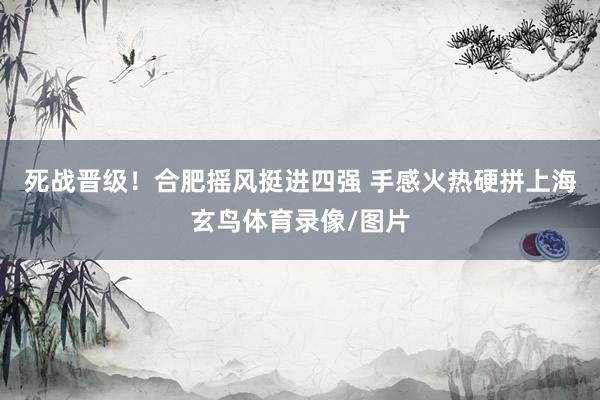 死战晋级！合肥摇风挺进四强 手感火热硬拼上海玄鸟体育录像/图片