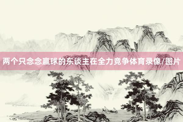 两个只念念赢球的东谈主在全力竞争体育录像/图片