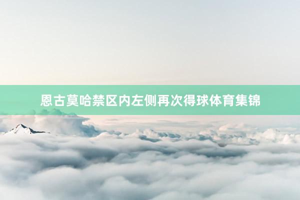恩古莫哈禁区内左侧再次得球体育集锦