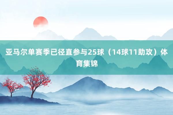 亚马尔单赛季已径直参与25球（14球11助攻）体育集锦