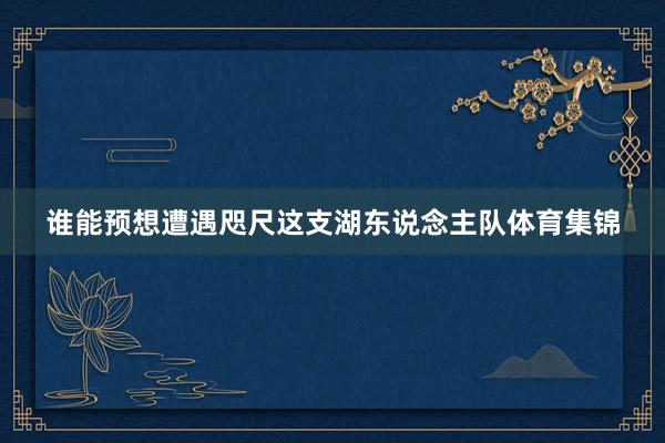 谁能预想遭遇咫尺这支湖东说念主队体育集锦