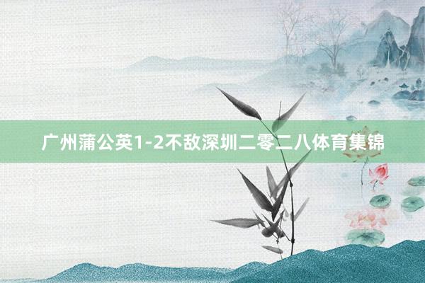 广州蒲公英1-2不敌深圳二零二八体育集锦