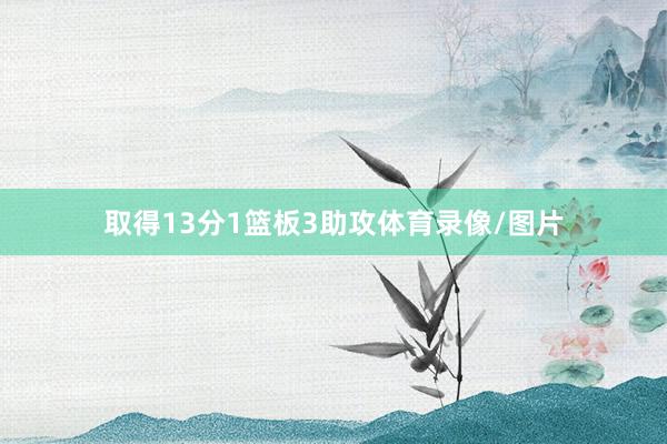 取得13分1篮板3助攻体育录像/图片