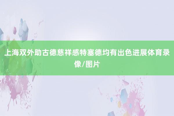 上海双外助古德慈祥感特塞德均有出色进展体育录像/图片