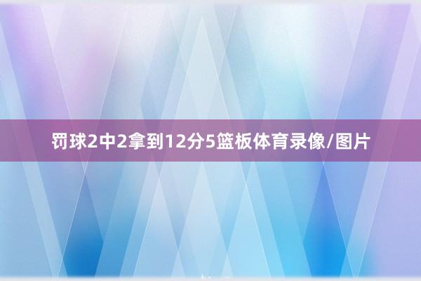 罚球2中2拿到12分5篮板体育录像/图片