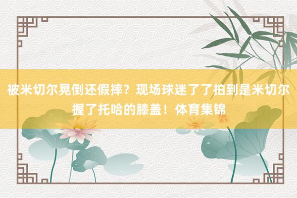 被米切尔晃倒还假摔？现场球迷了了拍到是米切尔握了托哈的膝盖！体育集锦