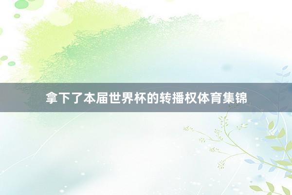拿下了本届世界杯的转播权体育集锦