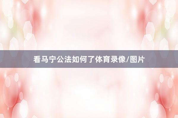 看马宁公法如何了体育录像/图片