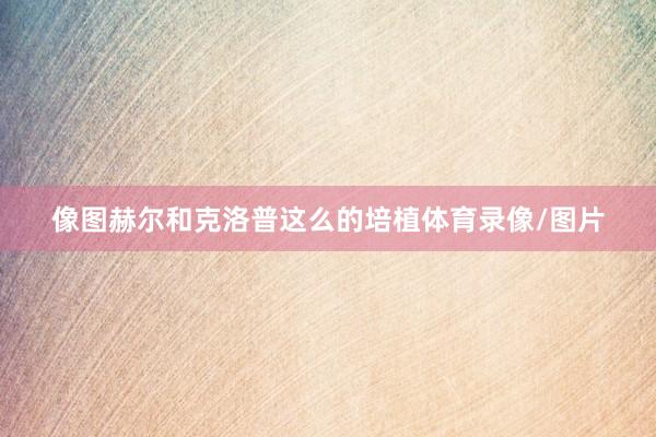 像图赫尔和克洛普这么的培植体育录像/图片