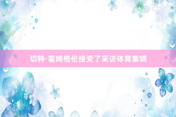 切特·霍姆格伦接受了采访体育集锦
