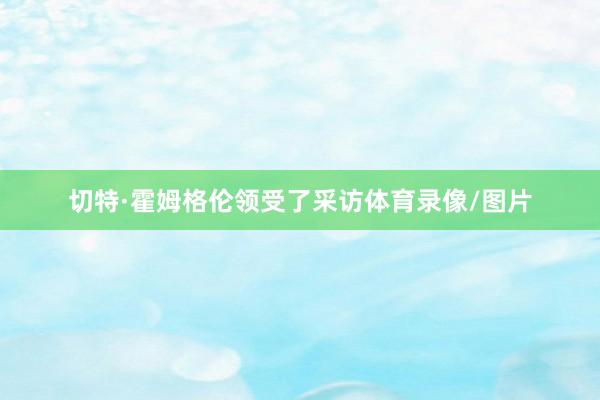 切特·霍姆格伦领受了采访体育录像/图片