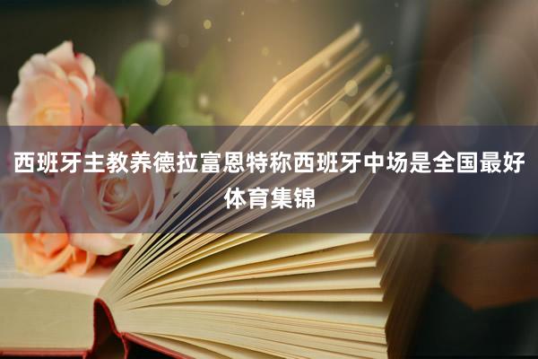 西班牙主教养德拉富恩特称西班牙中场是全国最好体育集锦